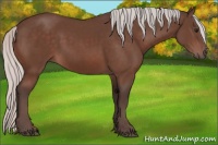 Horse Color:Silver Brown 