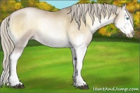 Horse Color:Chocolate Palomino Pearl Onyx Sabino Splash 