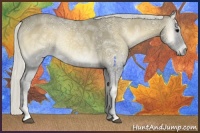 Horse Color:Silver Smoky Blue Onyx Ice