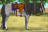 Horse Color:White Spotted Grullo Ice Splash