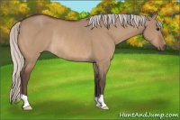 Horse Color:Silver Bay Dun Rabicano 