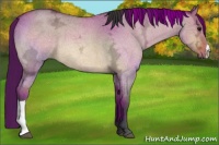 Horse Color:Bay Ice Roan Dun 