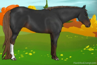 Horse Color:Gray Liver Chestnut