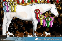 Horse Color:Silver Perlino Sabino Splash Tobiano Rabicano 