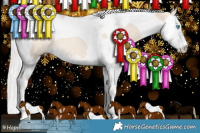 Horse Color:Silver Perlino Sabino Splash Tobiano Rabicano 
