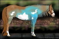 Horse Color:Chestnut Frame