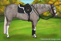 Horse Color:White Spotted Silver Blue Roan 