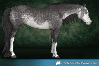 Horse Color:Platinum White Spotted Buckskin