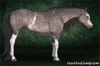 Horse Color:Platinum White Spotted Buckskin 