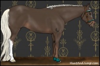 Horse Color:Liver Chestnut Mushroom 