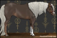 Horse Color:Liver Chestnut Mushroom 