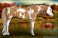 Horse Color:White Spotted Chestnut Splash 