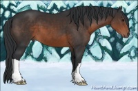 Horse Color:Brown 