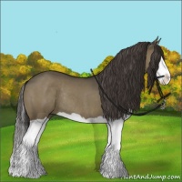Horse Color:Smoky Grullo Splash Rabicano 