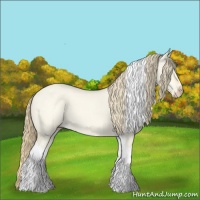 Horse Color:Perlino Dun Tobiano 
