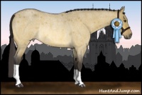 Horse Color:Buckskin Roan Dun Rabicano