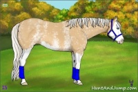 Horse Color:White Spotted Silver Buckskin Splash 