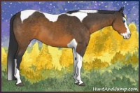 Horse Color:Brown Splash Tobiano