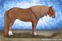 Horse Color:Chestnut  and Chestnut 