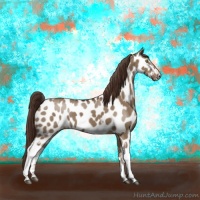 Horse Color:White Spotted Liver Red Dun Appaloosa