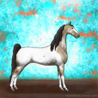 Horse Color:White Spotted Liver Red Dun Appaloosa Brindle 