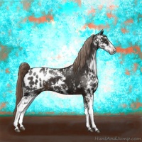 Horse Color:Liver Chestnut Sabino Appaloosa 