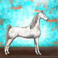 Horse Color:Chocolate Palomino Pearl Dun Appaloosa
