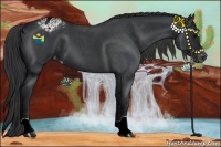 Horse Color:Blue Roan Varnish 