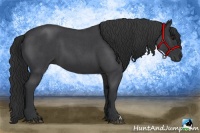 Horse Color:Blue Roan