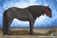 Horse Color:Smoky Black 
