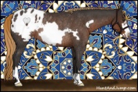 Horse Color:Liver Chestnut Frame Appaloosa Rabicano 