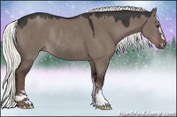 Horse Color:Liver Red Dun Sabino Rabicano 