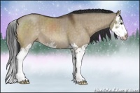 Horse Color:Brown Dun Sabino Splash Brindle