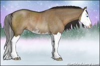 Horse Color:Liver Red Dun Sabino Splash Rabicano Brindle