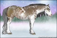Horse Color:Brown Dun Sabino Splash Brindle