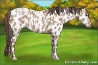 Horse Color:Classic Champagne Leopard  and Classic Champagne Leopard 