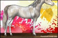 Horse Color:Liver Red Dun Ice Pearl Sabino Splash Tobiano Rabicano 