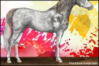 Horse Color:White Spotted Liver Red Dun Ice Splash Brindle