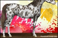 Horse Color:Black Ice Snowdrop Pearl Sabino Near Leopard 