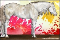 Horse Color:Liver Red Dun Ice Pearl Sabino Splash