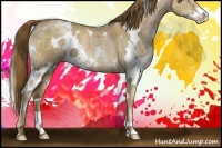 Horse Color:White Spotted Liver Chestnut Ice Pearl Sabino 