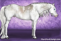 Horse Color:White Spotted Liver Red Dun Ice Mushroom Splash 