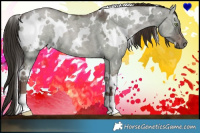 Horse Color:White Spotted Liver Red Dun Ice 