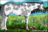 Horse Color:Blue Roan Splash Frame Rabicano