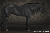 Horse Color:Gray Black 