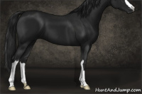 Horse Color:Gray Black 