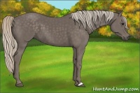 Horse Color:Silver Black 