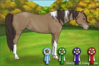 Horse Color:Classic Champagne Tobiano