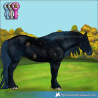 Horse Color:ERROR: UNKNOWN ANOMALY