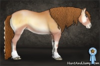 Horse Color:Bay Pearl Onyx